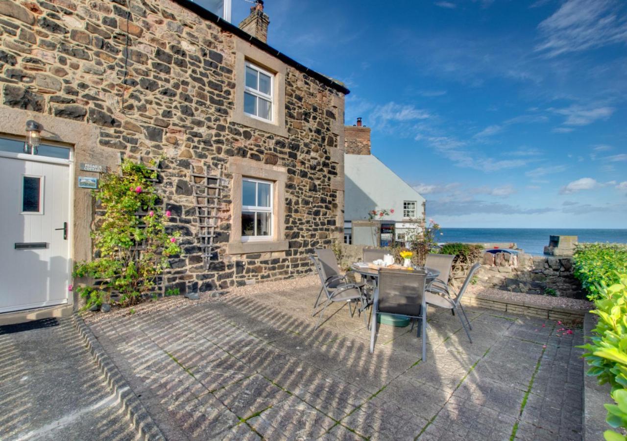 Pegasus Cottage Craster Bagian luar foto